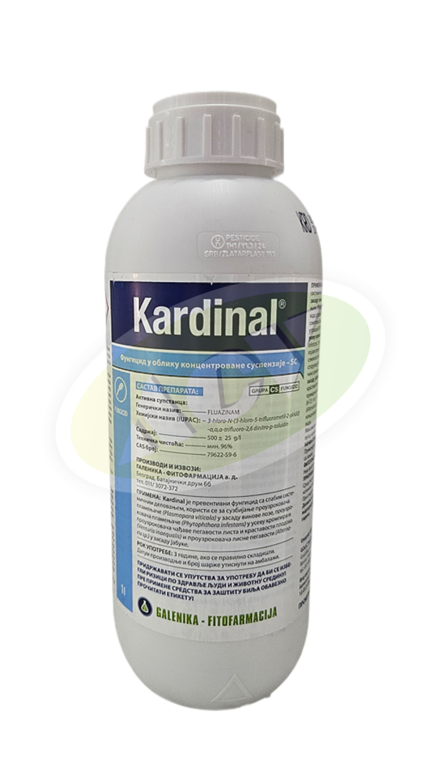 KARDINAL 1|1