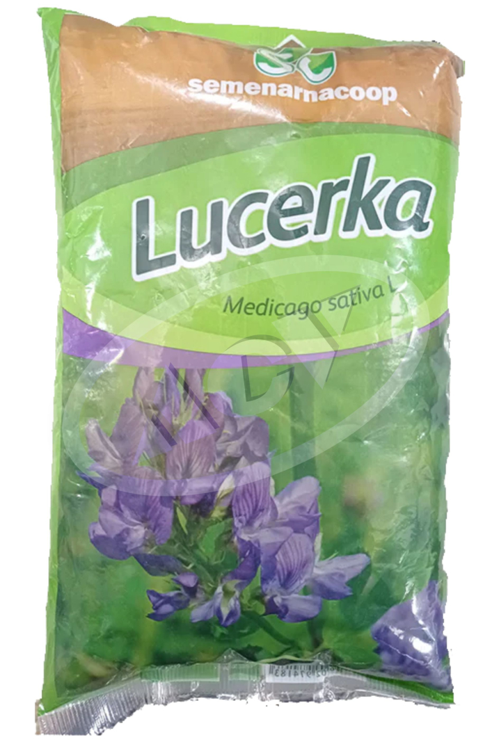 LUCERKA BANAT - NOVOSADSKA 1|1