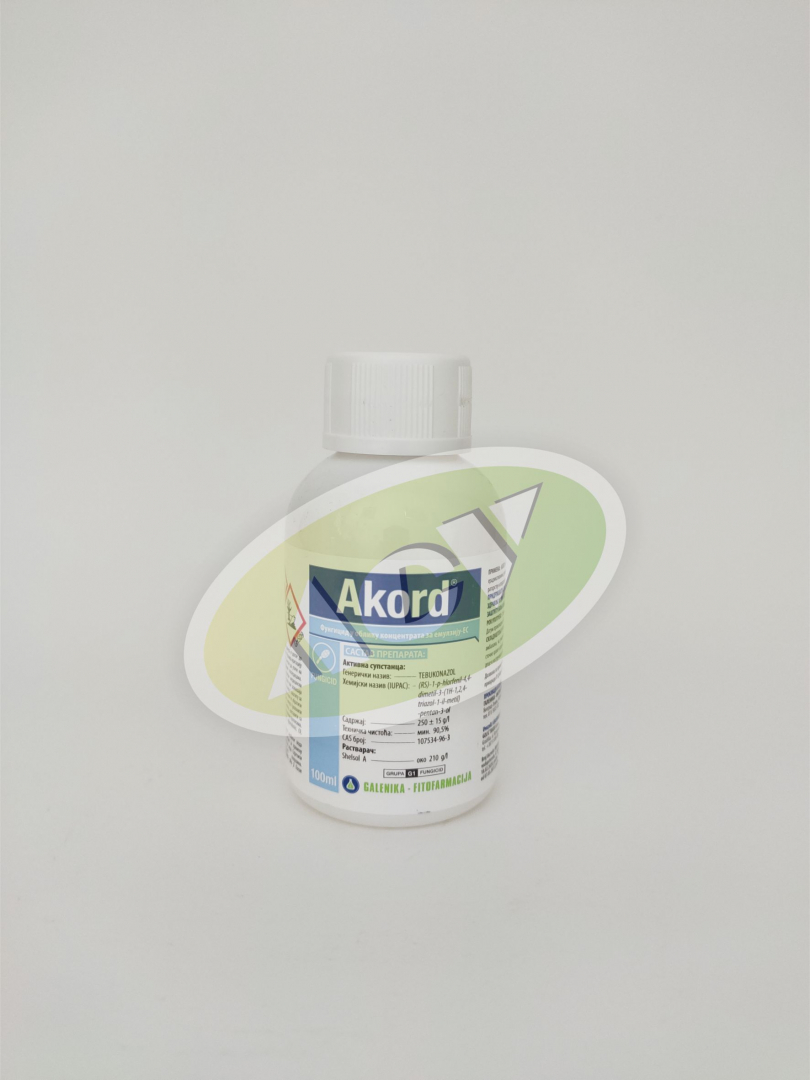 AKORD 100ML