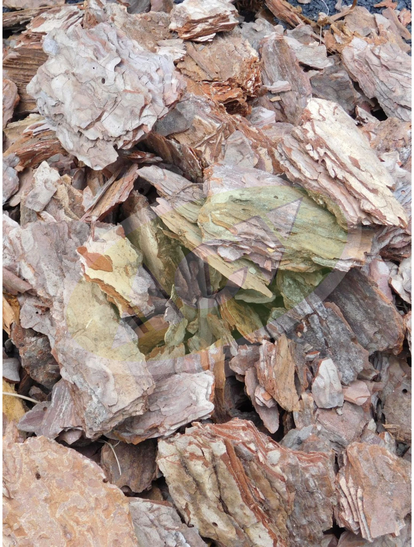 KORA OD DRVETA MALC 50L BOROVA KORA KRUPNA