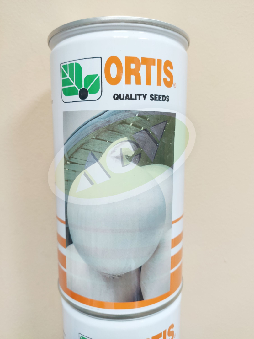 LUK SREBRNJAK ORTIS 500G