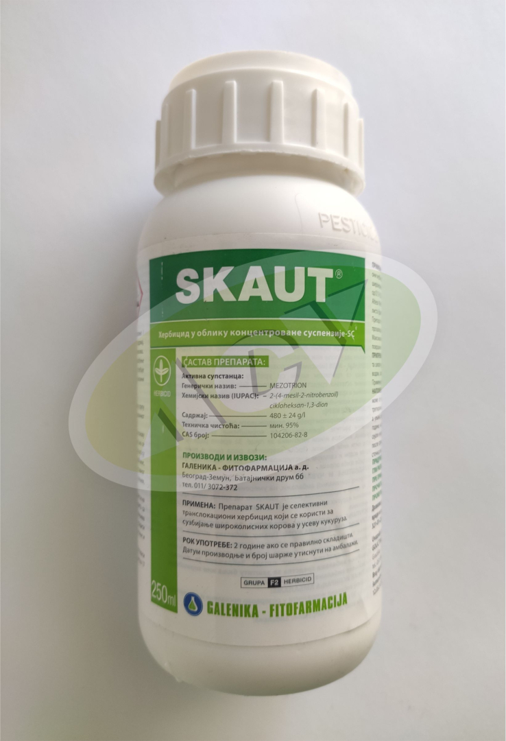 SKAUT 250ML