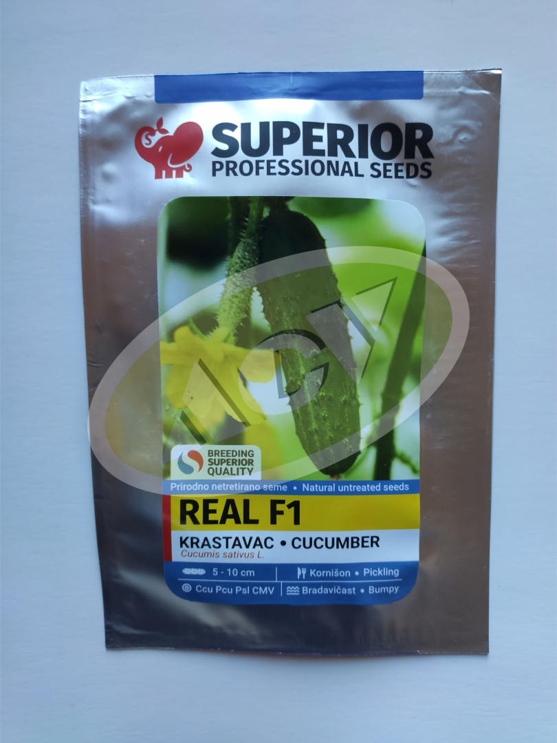 REAL F1 KORNISON 2,5GR