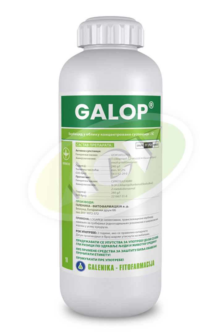 GALOP 1|1