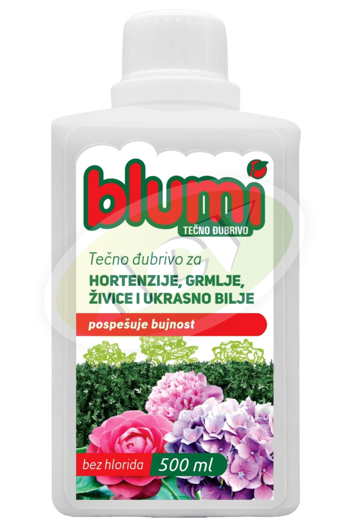 BLUMI HORTENZIJE 0,5L