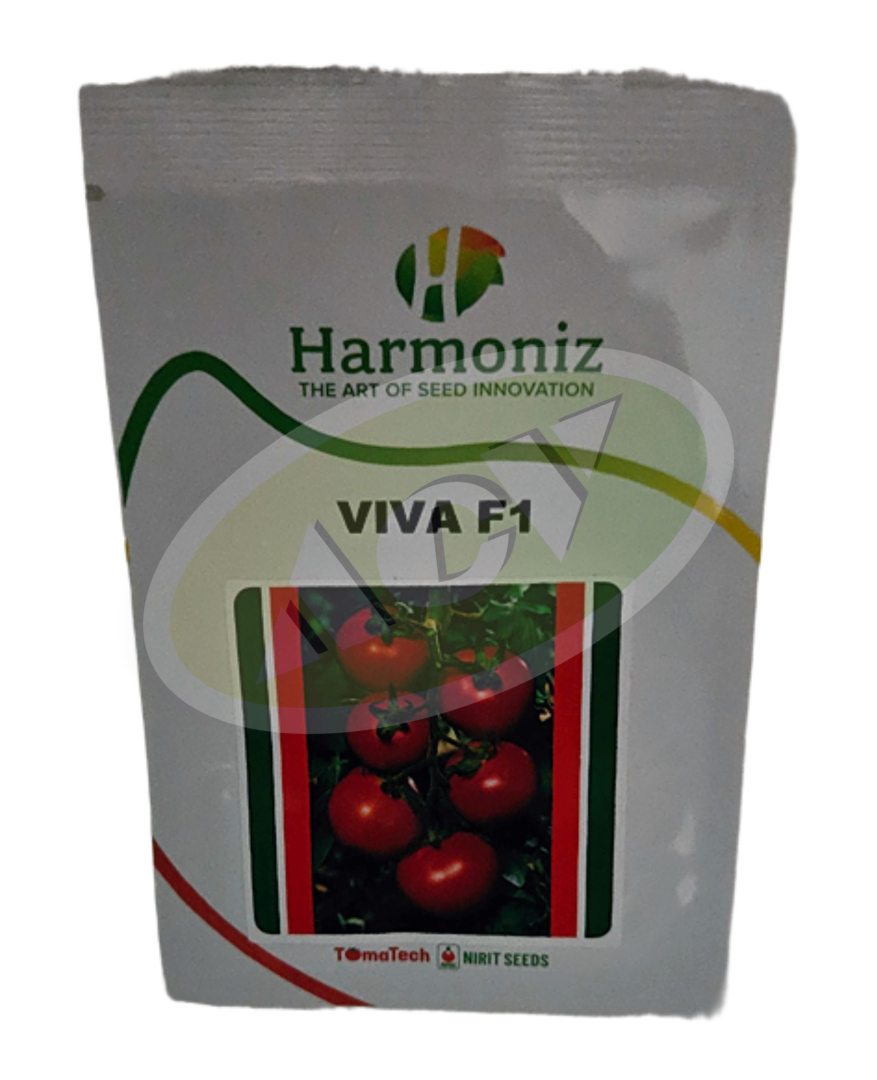 VIVA 100SEM  PARADAJZ