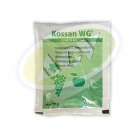 KOSSAN WG 30G