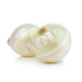 LUK SREBRNJAK ORTIS 500G