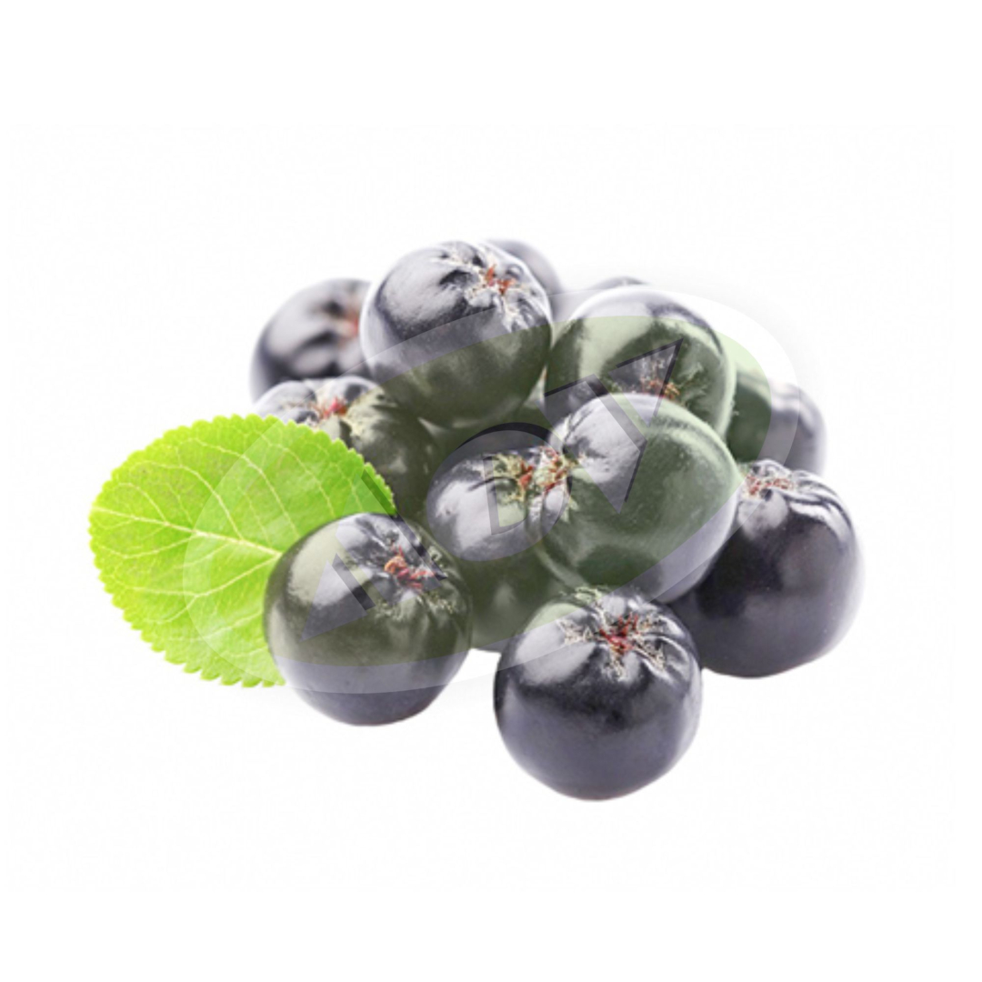 SADNICA ARONIJE - NERO 1 KOM.