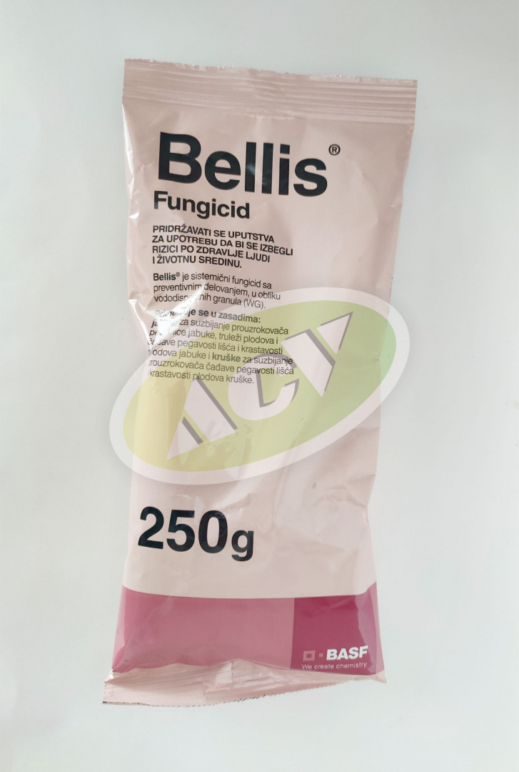 BELLIS 250GR