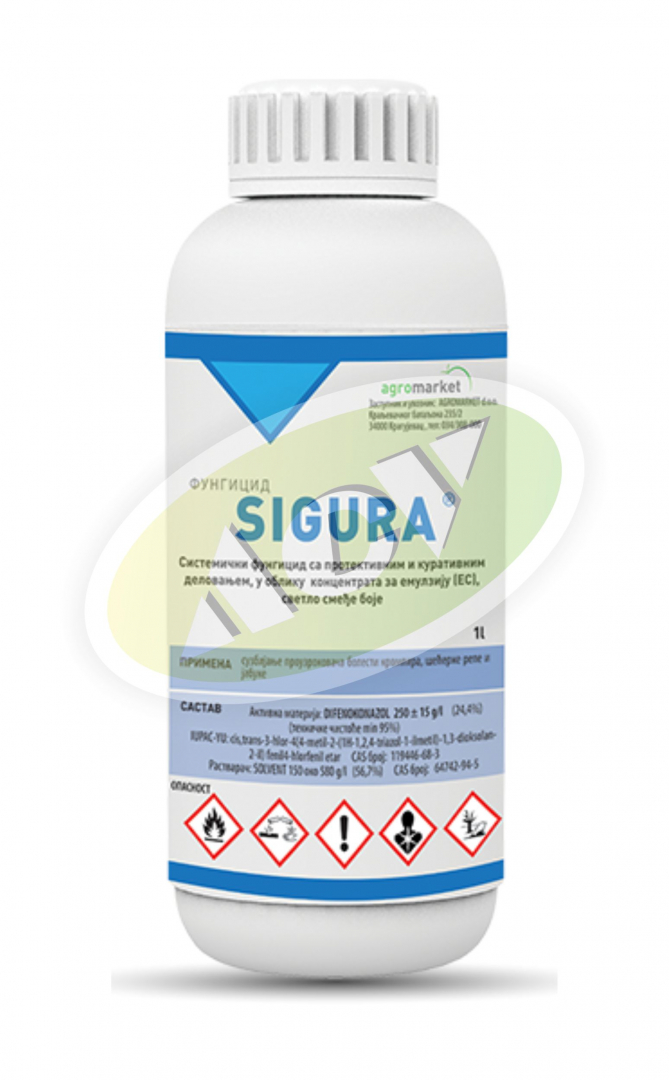 SIGURA 1/1