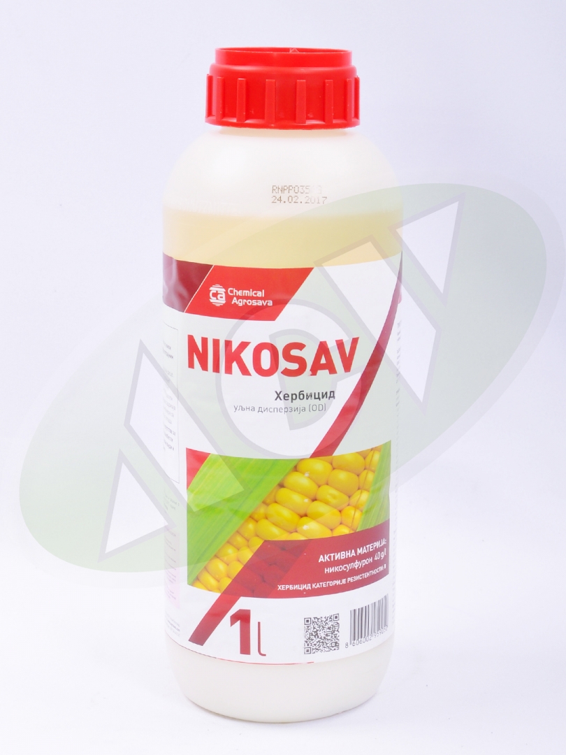 NIKOSAV 1/1