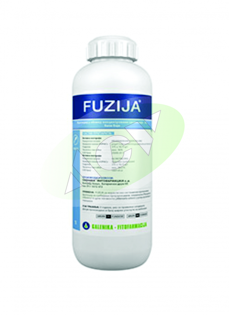 FUZIJA 1/1