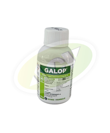 GALOP 100ML