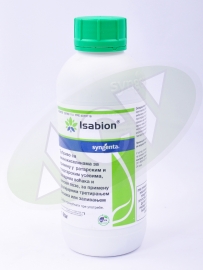 ISABION 1/1