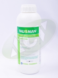 TALISMAN 1/1 